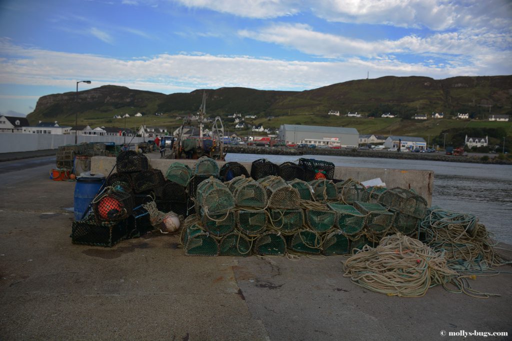 uig-ferry1