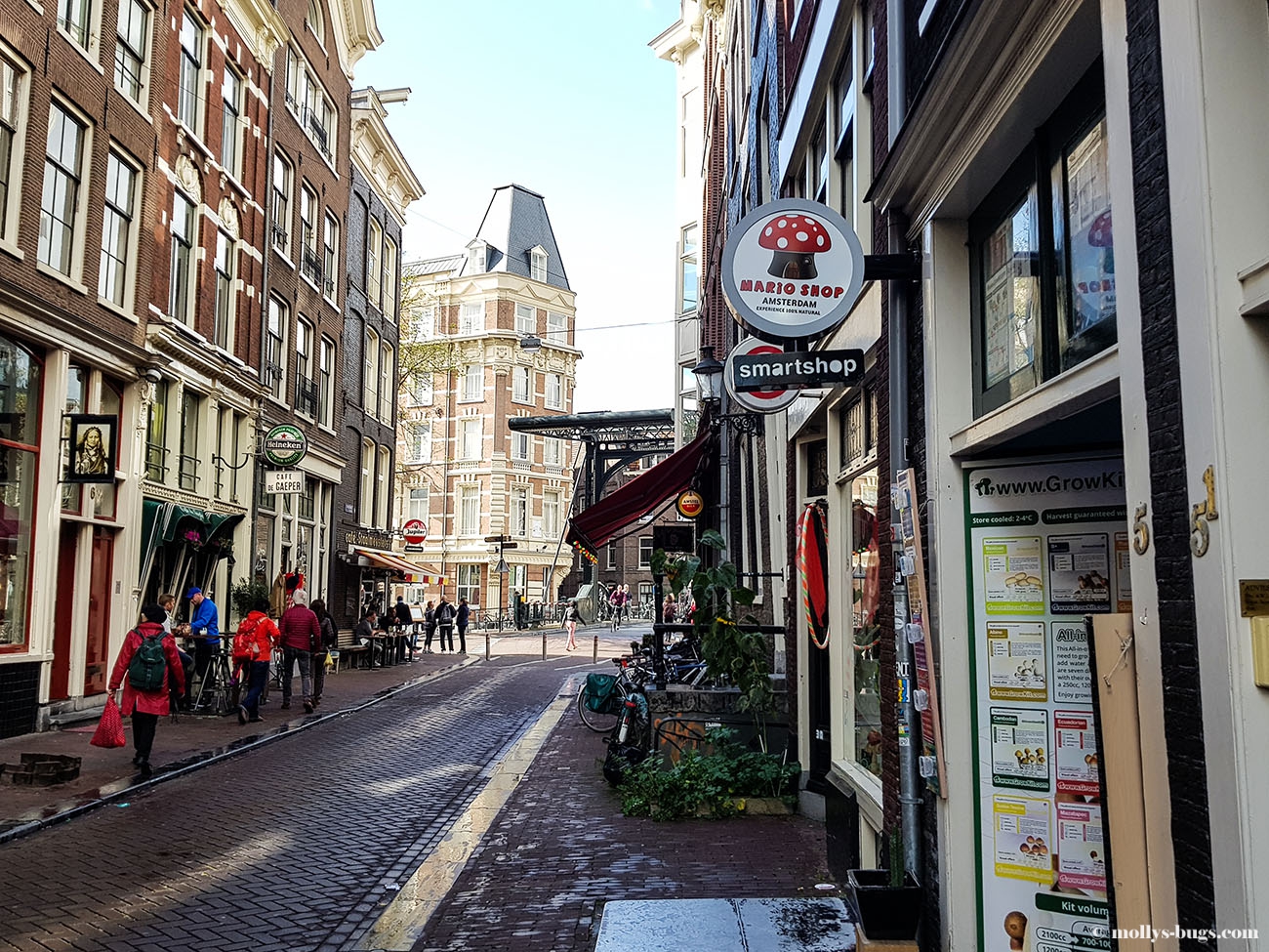 В квартале «Красных Фонарей» в Амстердаме