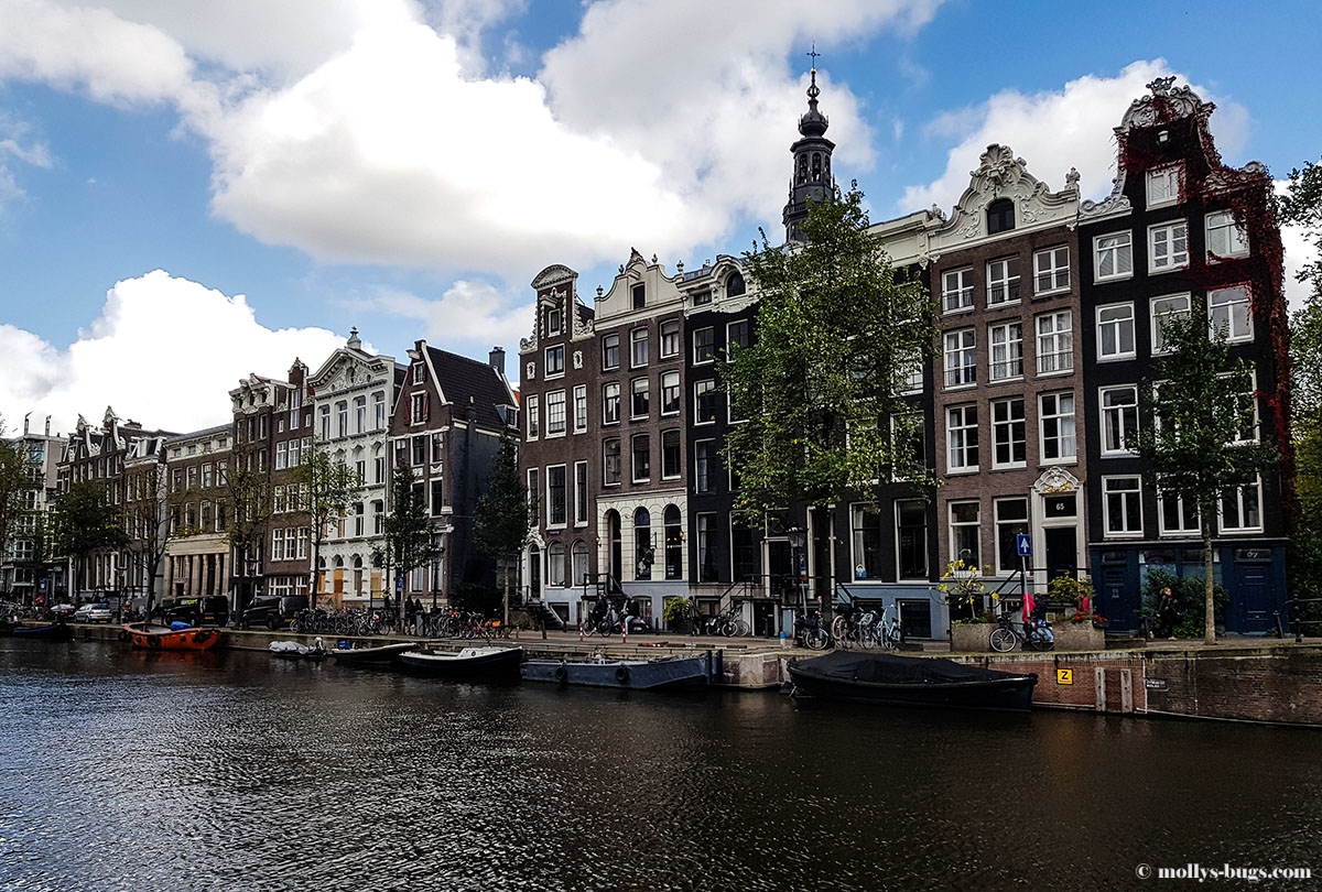 На улицах амстердама секс (58 фото)